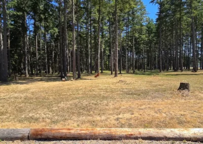 Archery Range 2
